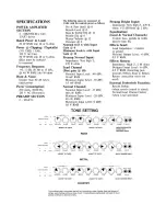 Preview for 5 page of Peavey Blues Classic Operating Manual