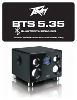 Предварительный просмотр 1 страницы Peavey BTS 5.35 User Manual