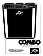 Peavey Combo User Manual preview