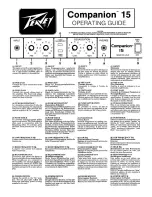 Peavey Companion 15 User Manual предпросмотр