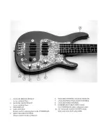 Предварительный просмотр 3 страницы Peavey Cyberbass 5 Operating Manual