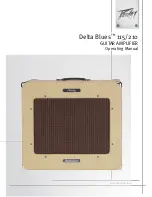 Предварительный просмотр 1 страницы Peavey Delta Blues 210 Operating Manual