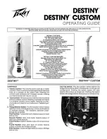 Peavey Destiny Custom Operating Manual preview