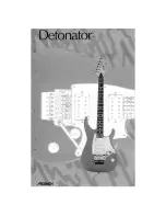 Peavey Detonator Operating Manual preview