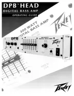 Preview for 1 page of Peavey DPB Head Operating Manual