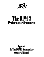 Peavey DPM 2 User Manual preview