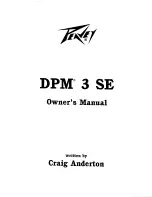Peavey DPM 3SE User Manual preview