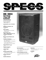 Peavey DS DS-1803 Specifications preview