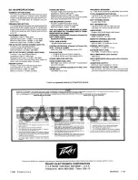 Preview for 4 page of Peavey ED-100 Operating Manual