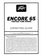 Peavey Encore 65 Operating Manual предпросмотр