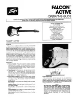 Предварительный просмотр 1 страницы Peavey Falcon Active User Manual