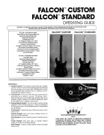 Предварительный просмотр 1 страницы Peavey Falcon Standard Operating Manual