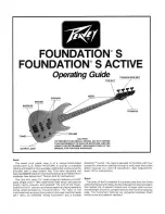 Peavey Foundation S Active Operating Manual preview