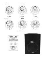 Preview for 3 page of Peavey HDH 2T Specifications