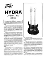 Peavey Jeff Cook Hydra Operating Manual preview