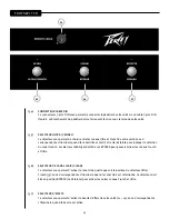 Предварительный просмотр 25 страницы Peavey Joe Satriani Signature Owner'S Manual