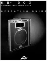 Предварительный просмотр 1 страницы Peavey KB 300 Operating Manual