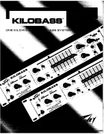 Peavey Kilobass User Manual предпросмотр