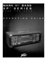 Предварительный просмотр 1 страницы Peavey Mark VI Bass XP Series Operating Manual