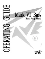 Peavey Mark VI Bass Owner'S Manual предпросмотр