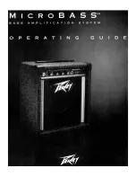 Preview for 1 page of Peavey MicroBass Operating Manual