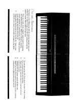 Preview for 3 page of Peavey Millennium DK-20 User Manual