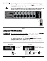 Предварительный просмотр 10 страницы Peavey MMA81502 User Manual