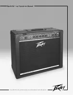 Предварительный просмотр 1 страницы Peavey Nashville 112 User Manual