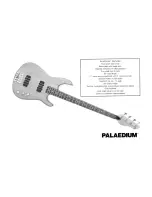 Предварительный просмотр 2 страницы Peavey Palaedium Operating Manual