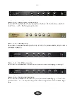 Предварительный просмотр 19 страницы Peavey Peavey ReValver MK III User Manual