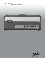 Peavey Penta Owner'S Manual предпросмотр