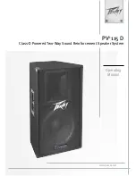 Peavey PV 115 D Operating Manual preview