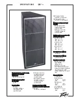 Peavey QW 1 Specification Sheet preview