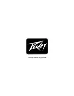 Предварительный просмотр 6 страницы Peavey Special User Manual