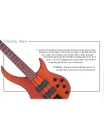 Preview for 6 page of Peavey Spectrum Bass Owner'S Manual