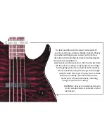 Preview for 8 page of Peavey Spectrum Bass Owner'S Manual