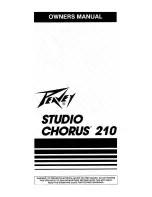 Peavey Studio Chorus 210 User Manual предпросмотр