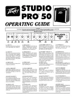 Предварительный просмотр 1 страницы Peavey Studio Pro 50 Operating Manual