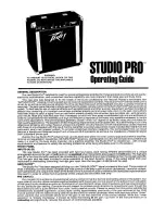 Peavey StudioPro User Manual предпросмотр