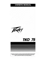 Предварительный просмотр 1 страницы Peavey TKO 75 User Manual