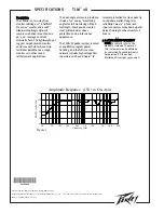 Предварительный просмотр 2 страницы Peavey TLM 2X Specifications