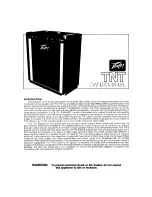 Peavey TNT User Manual предпросмотр