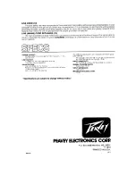 Предварительный просмотр 4 страницы Peavey TNT User Manual