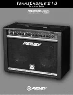 Peavey TransChorus 210 Operating Manual preview