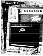 Предварительный просмотр 1 страницы Peavey Transtube Envoy 110 Operating Manual