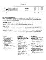 Предварительный просмотр 3 страницы Peavey Transtube Envoy 110 User Manual