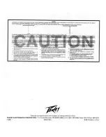 Предварительный просмотр 6 страницы Peavey Transtube Envoy 110 User Manual