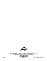 Preview for 48 page of Peavey Transtube Series 100 EFX Operation Manual