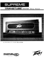 Peavey Transtube Series 110 EFX Operating Manual preview