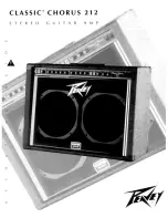 Предварительный просмотр 1 страницы Peavey Transtube Series 212 EFX Specification Sheet